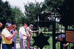 שער הכניסה בגדר המחודשת של בית הקברות ברוז'ישץ'