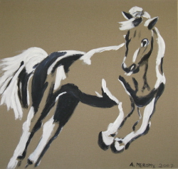 מתוך התערוכה "סוס ללא רוכבת"